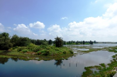  鰲鼓濕地水景